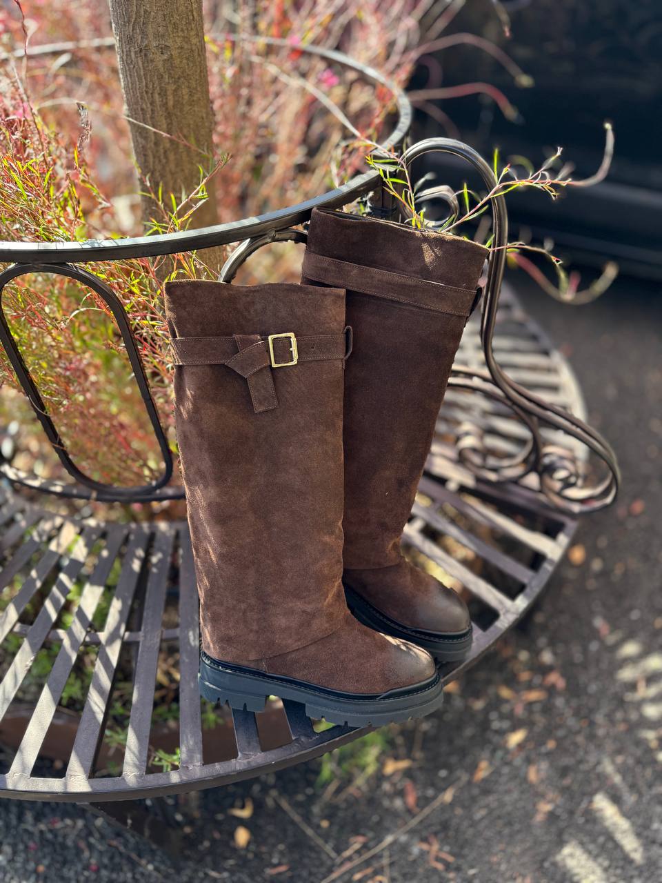 Фото Federica Lancioni