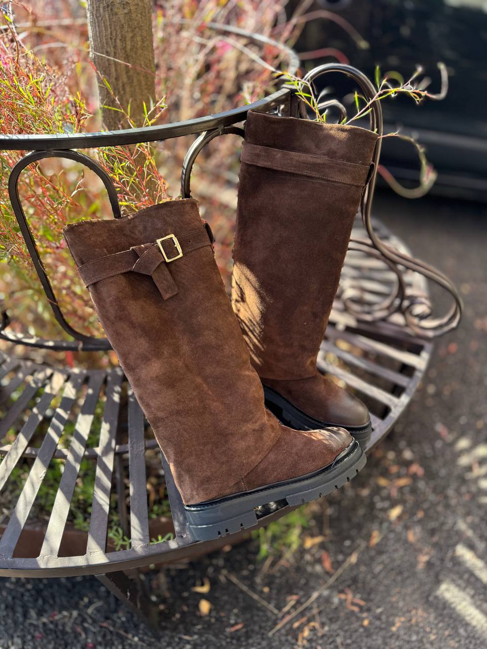 Фото Federica Lancioni