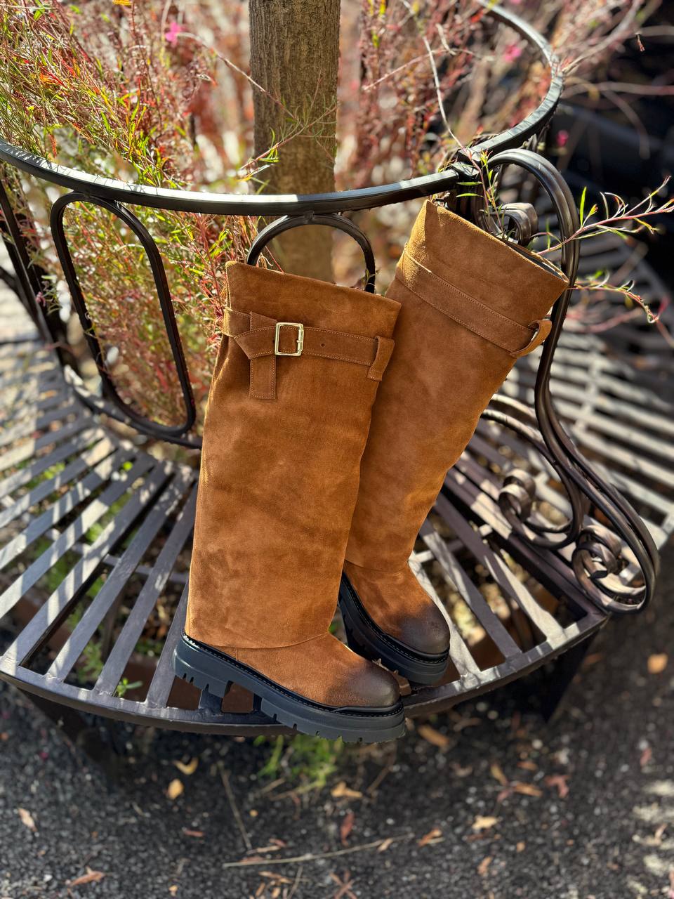 Фото Federica Lancioni