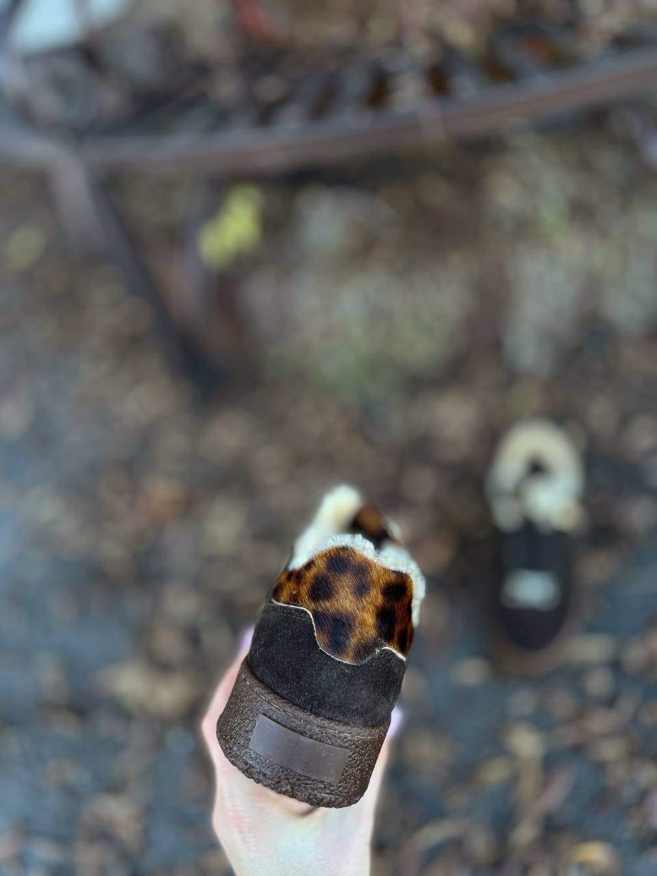 Federica Lancioni Фото Federica Lancioni