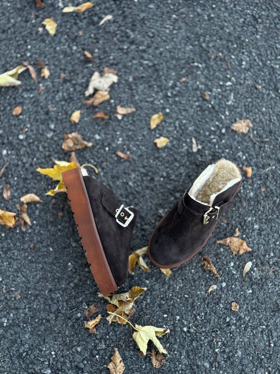 Фото Federica Lancioni