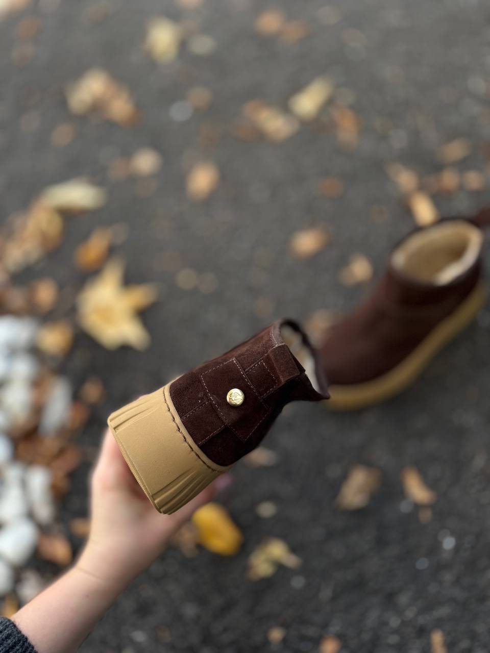 Фото Federica Lancioni