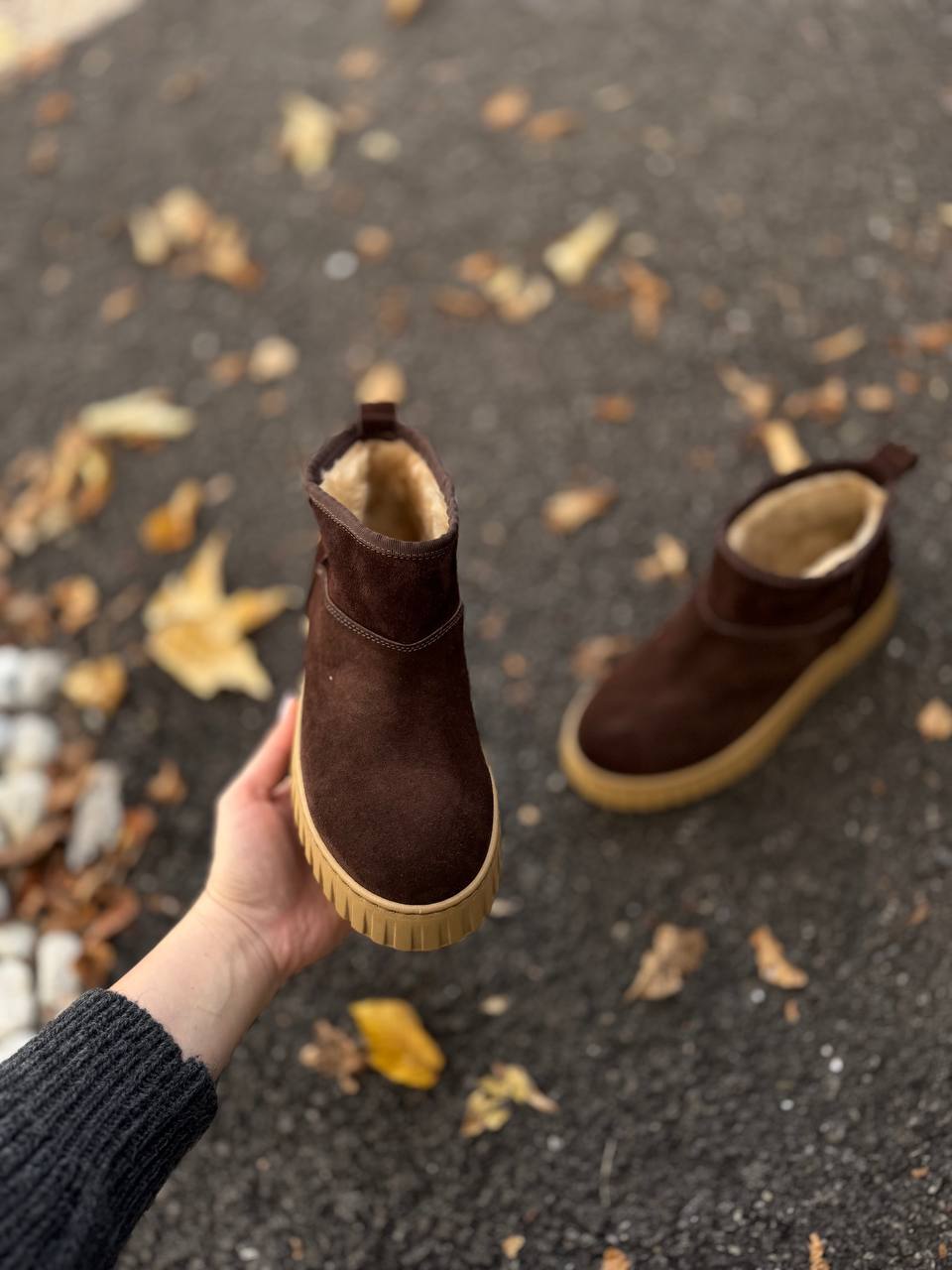 Фото Federica Lancioni