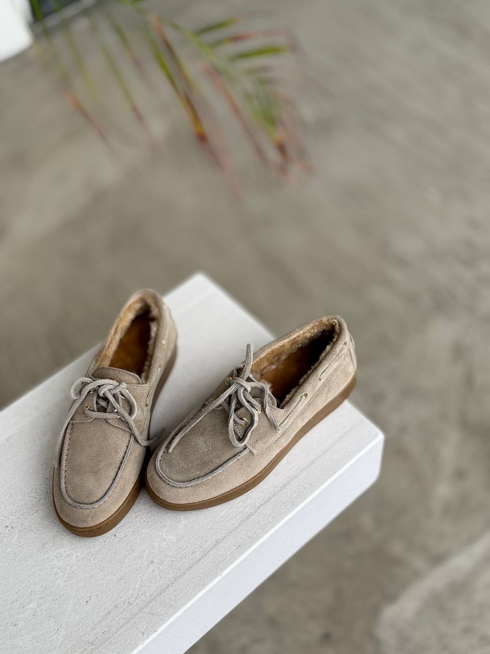 Фото Federica Lancioni