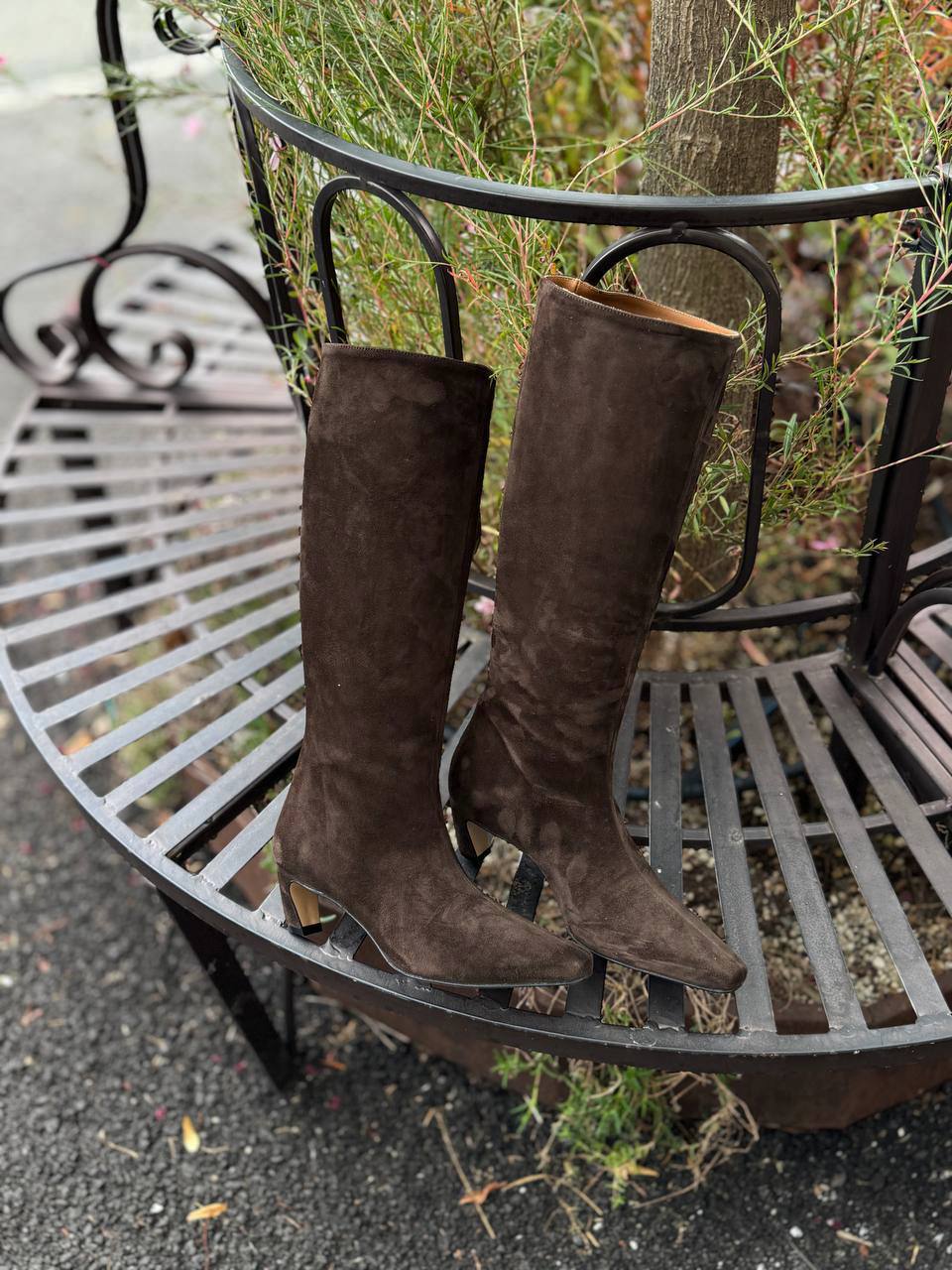 Фото Federica Lancioni