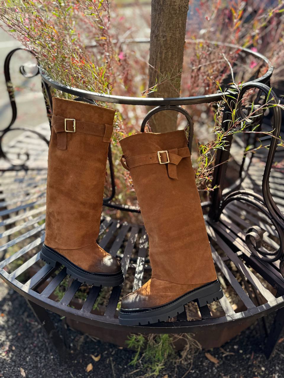 Фото Federica Lancioni