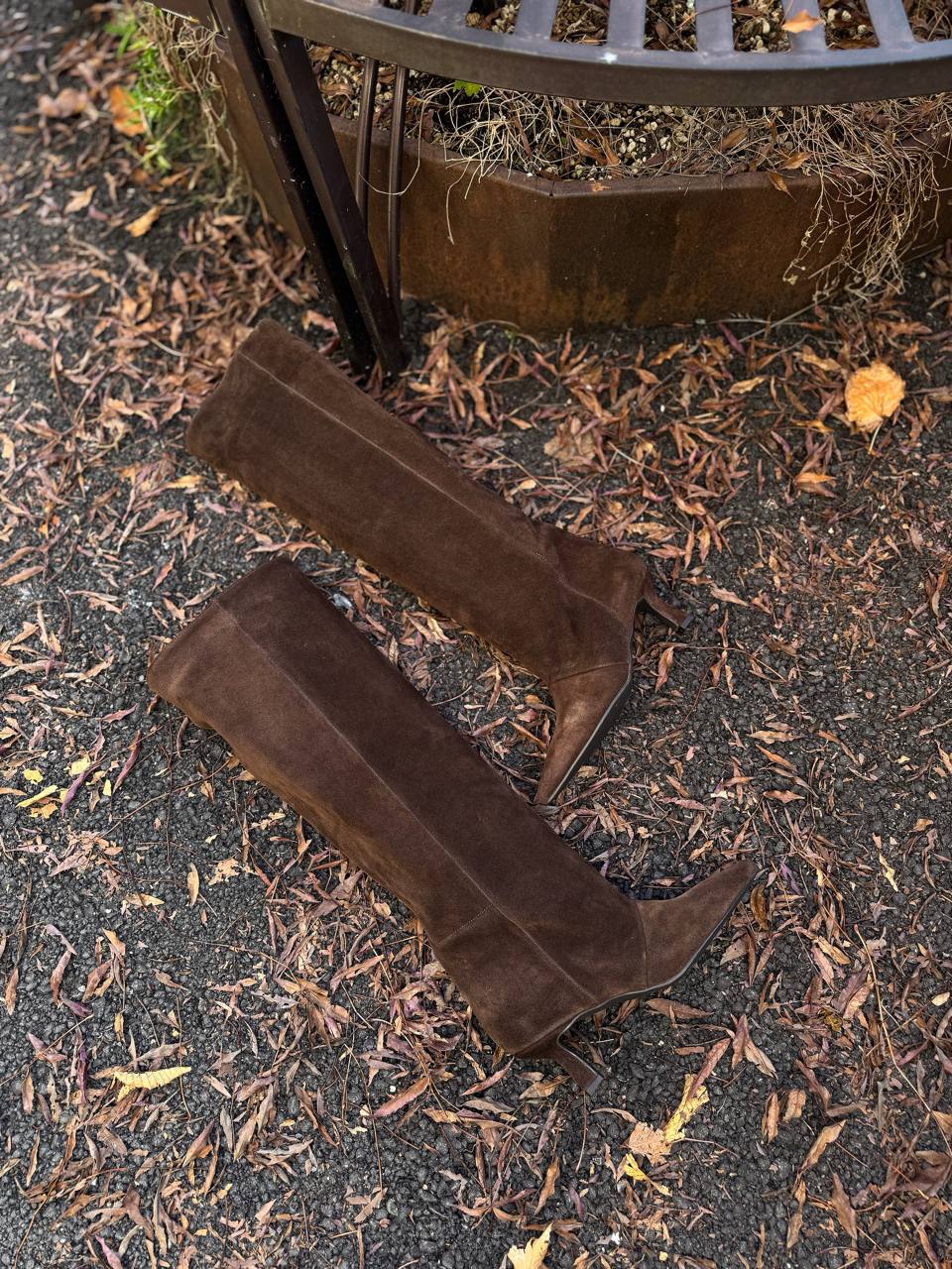 Фото Federica Lancioni