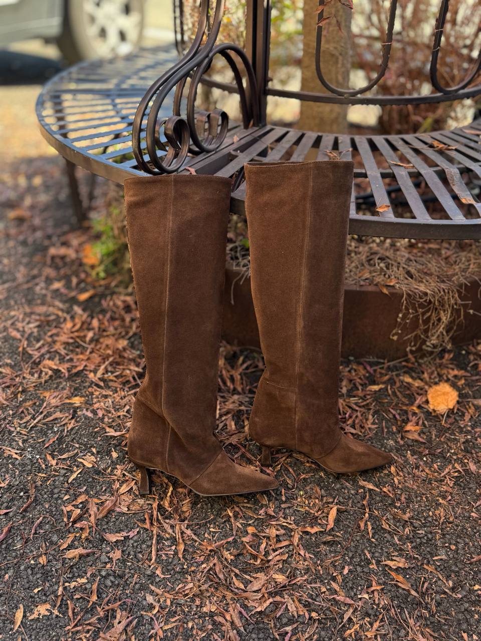 Фото Federica Lancioni