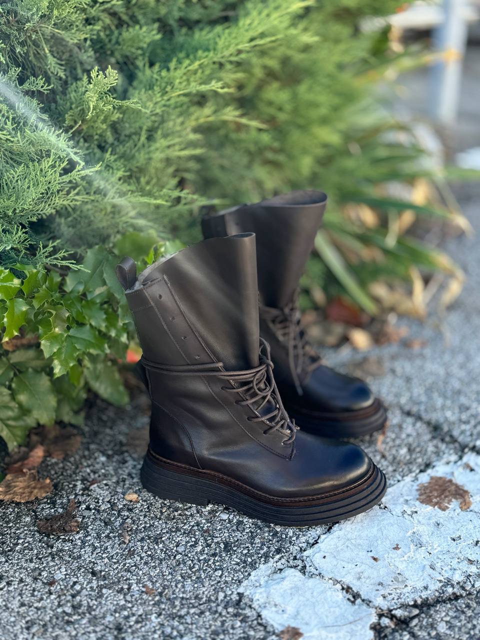 Фото Federica Lancioni