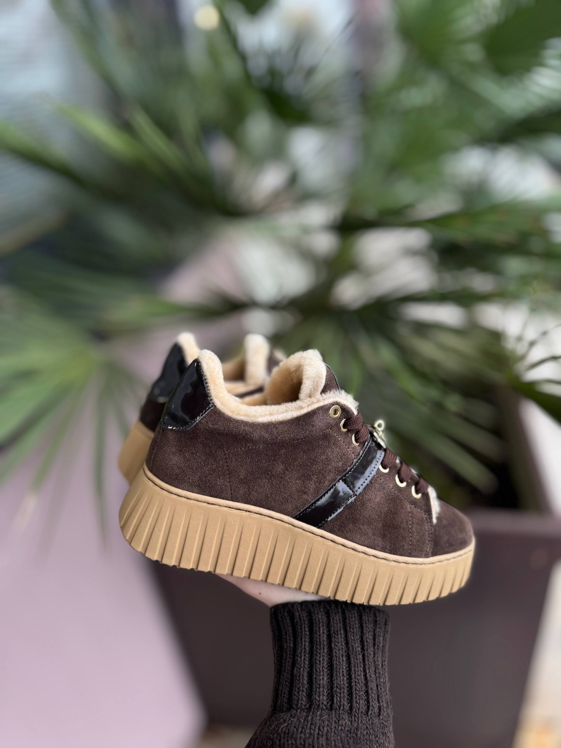 Фото Federica Lancioni