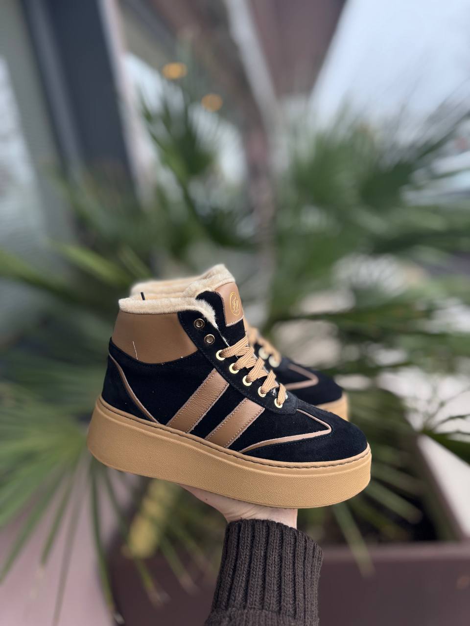 Фото Federica Lancioni