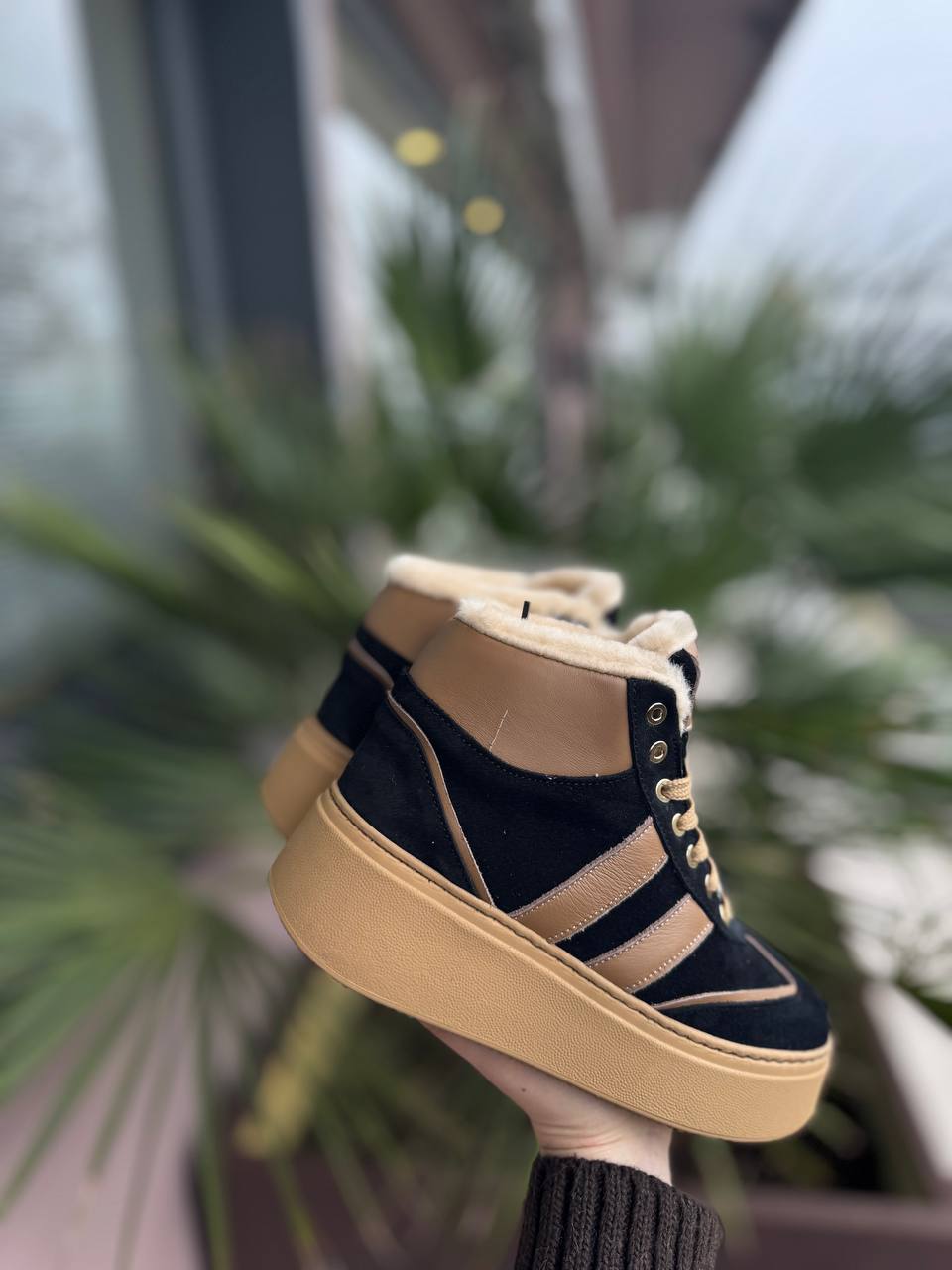 Фото Federica Lancioni