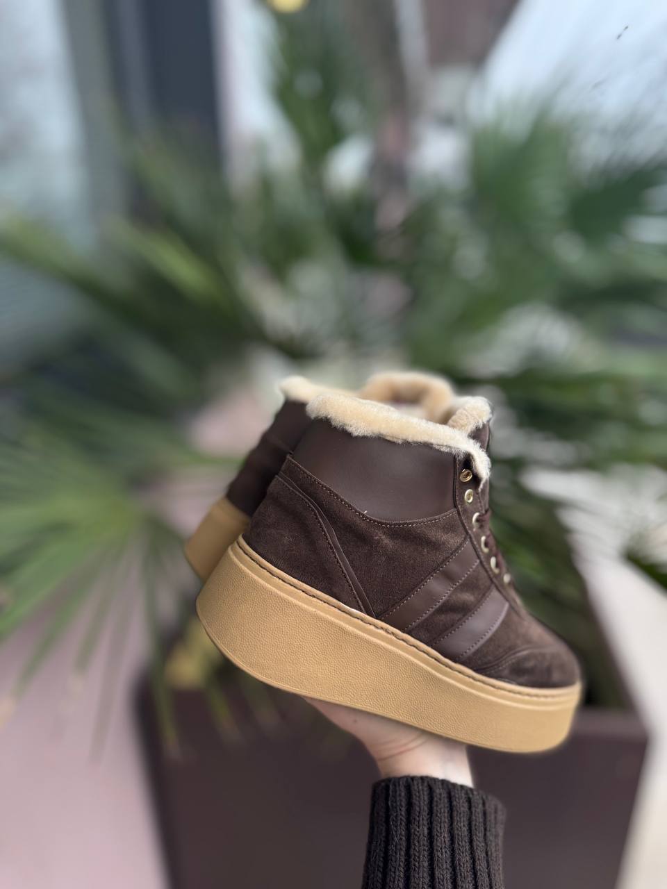 Фото Federica Lancioni