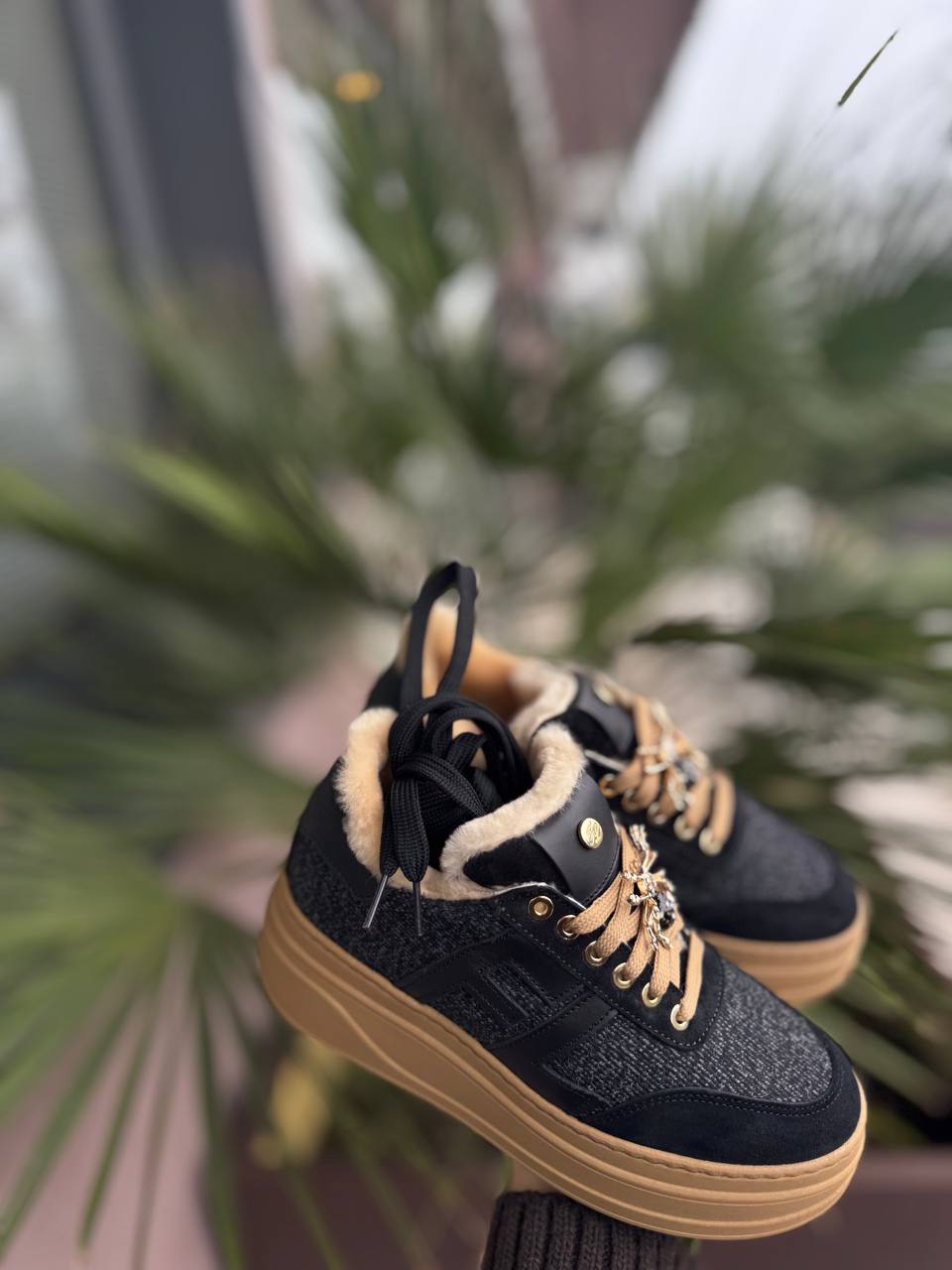 Фото Federica Lancioni