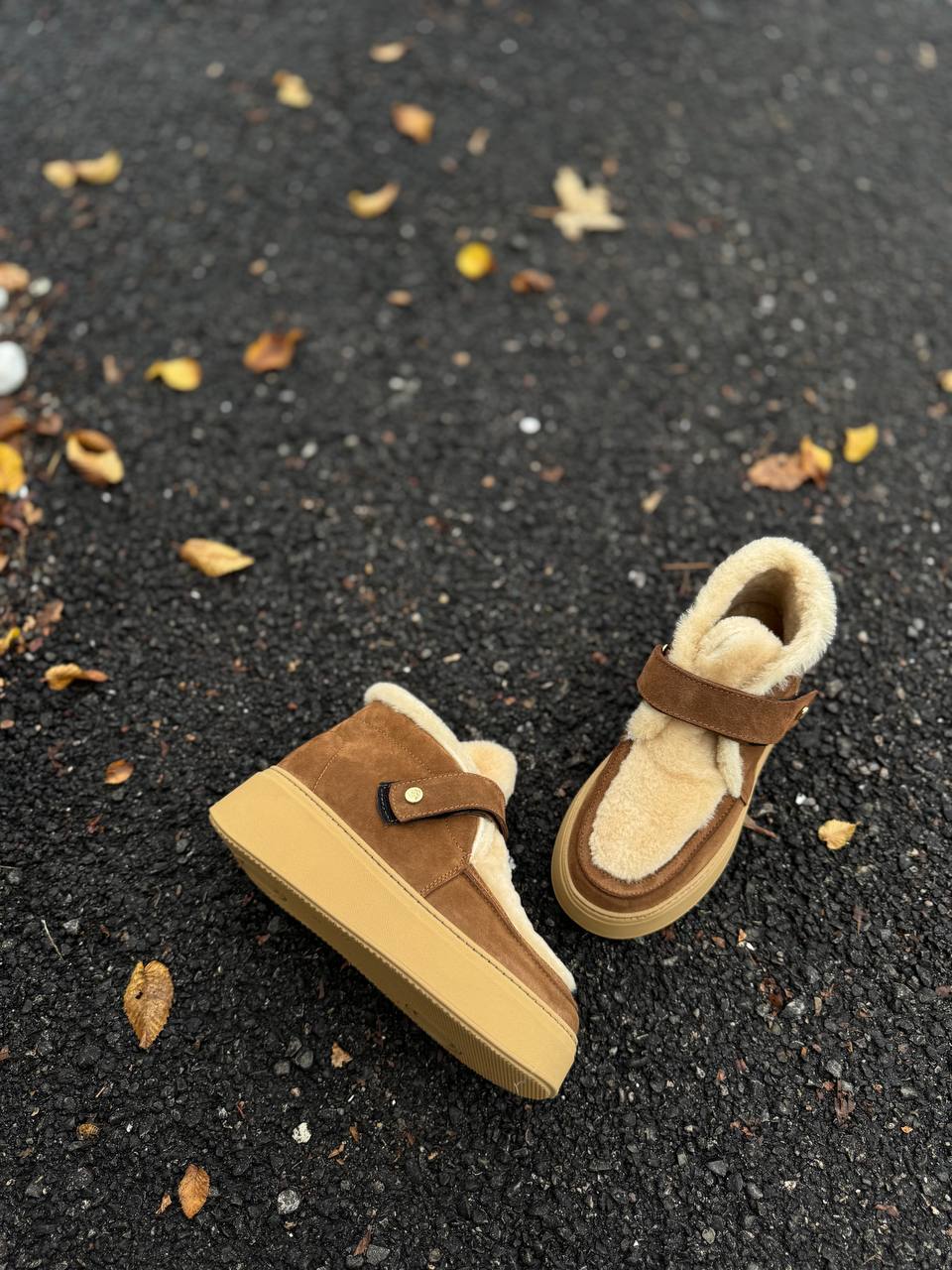 Фото Federica Lancioni