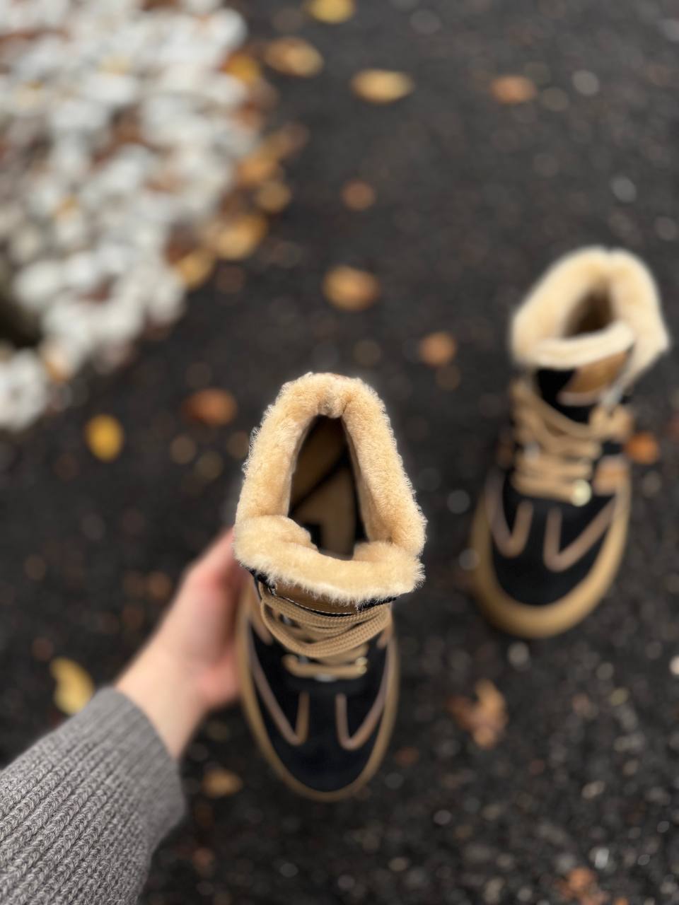 Фото Federica Lancioni