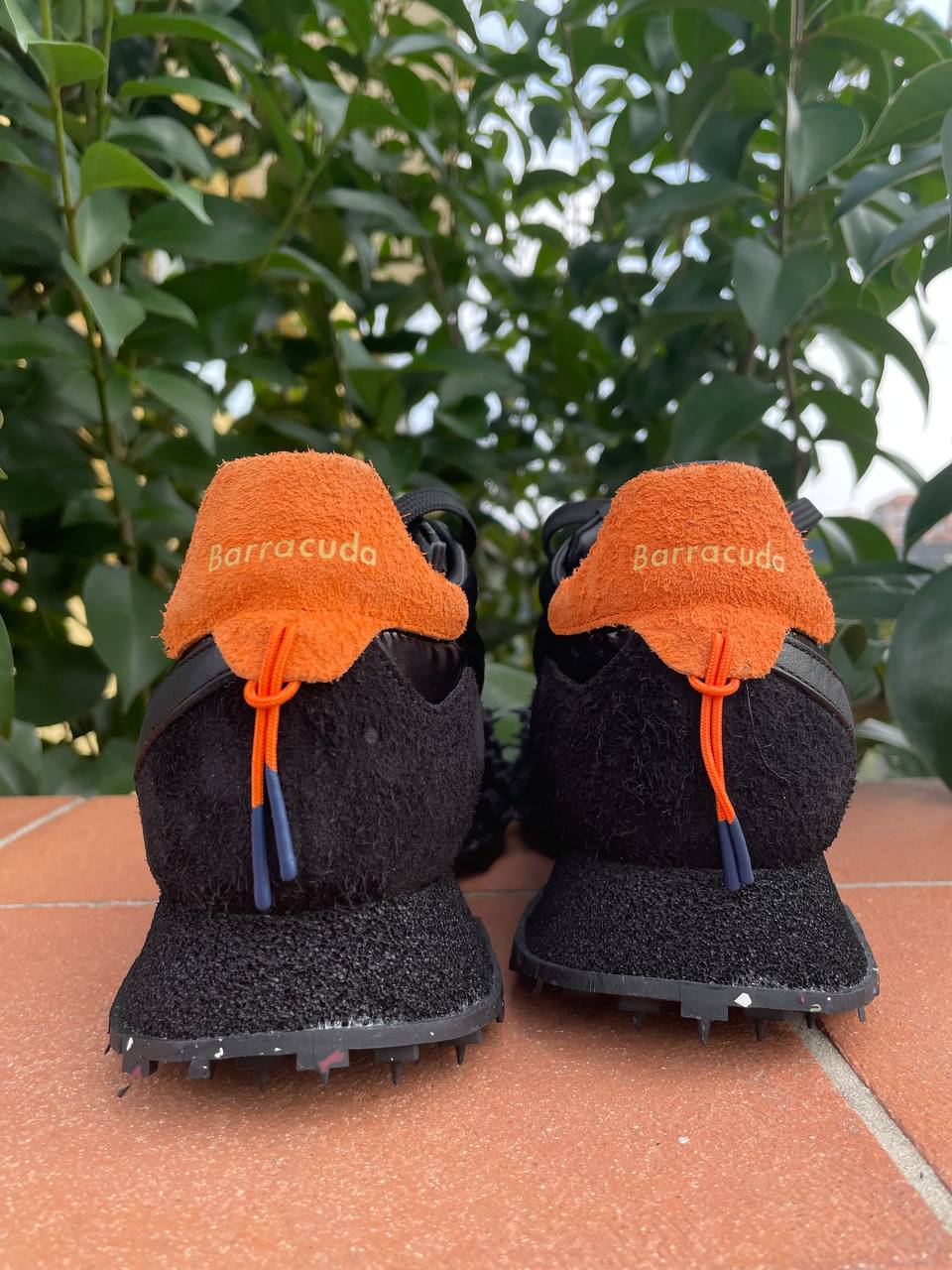 Фото Roberto Serpentini