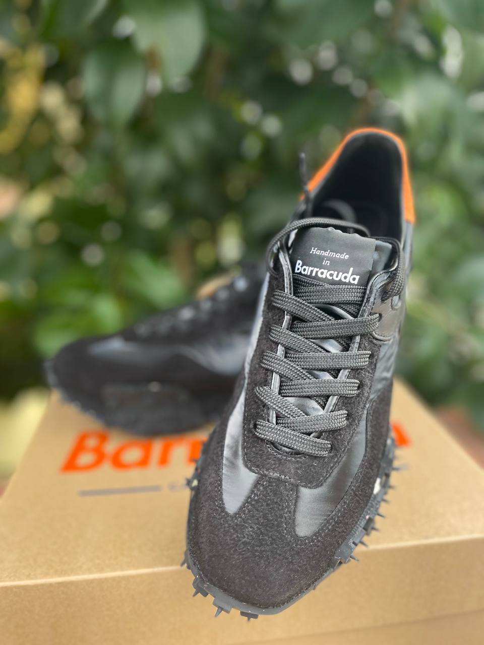 Фото Roberto Serpentini