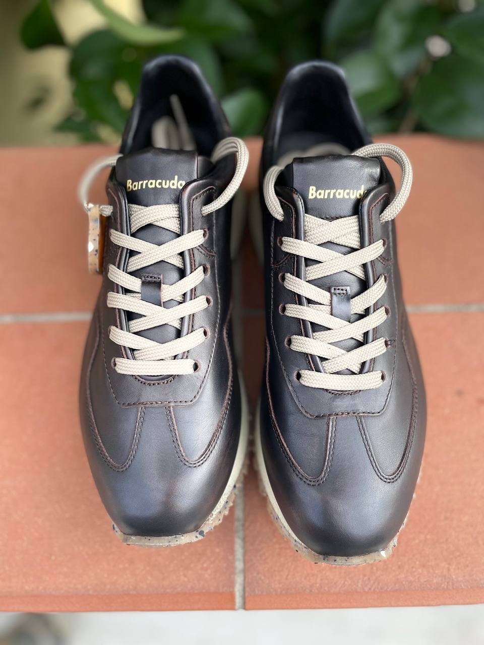 Фото Roberto Serpentini