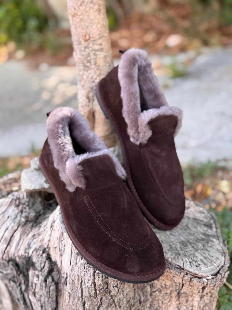 Фото Roberto Serpentini