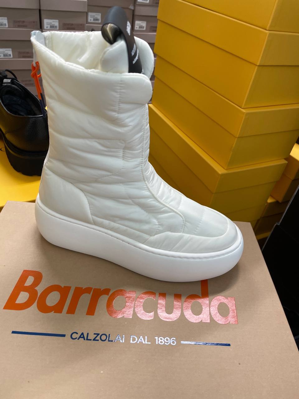 Фото Roberto Serpentini