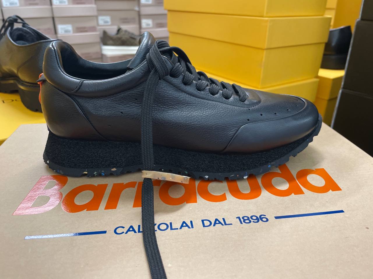 Фото Roberto Serpentini