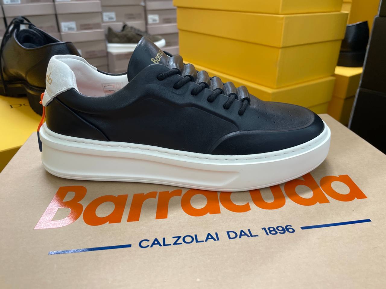 Фото Roberto Serpentini