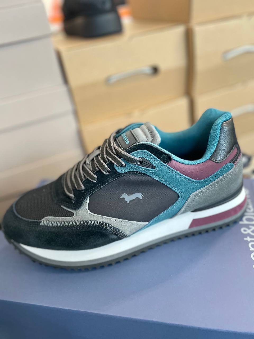 Фото Roberto Serpentini