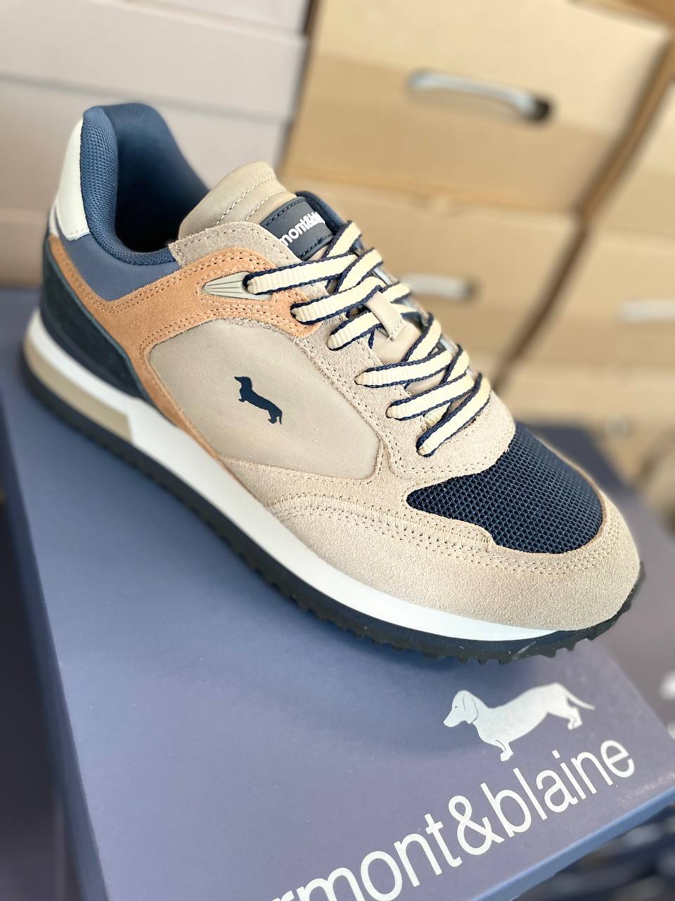 Фото Roberto Serpentini