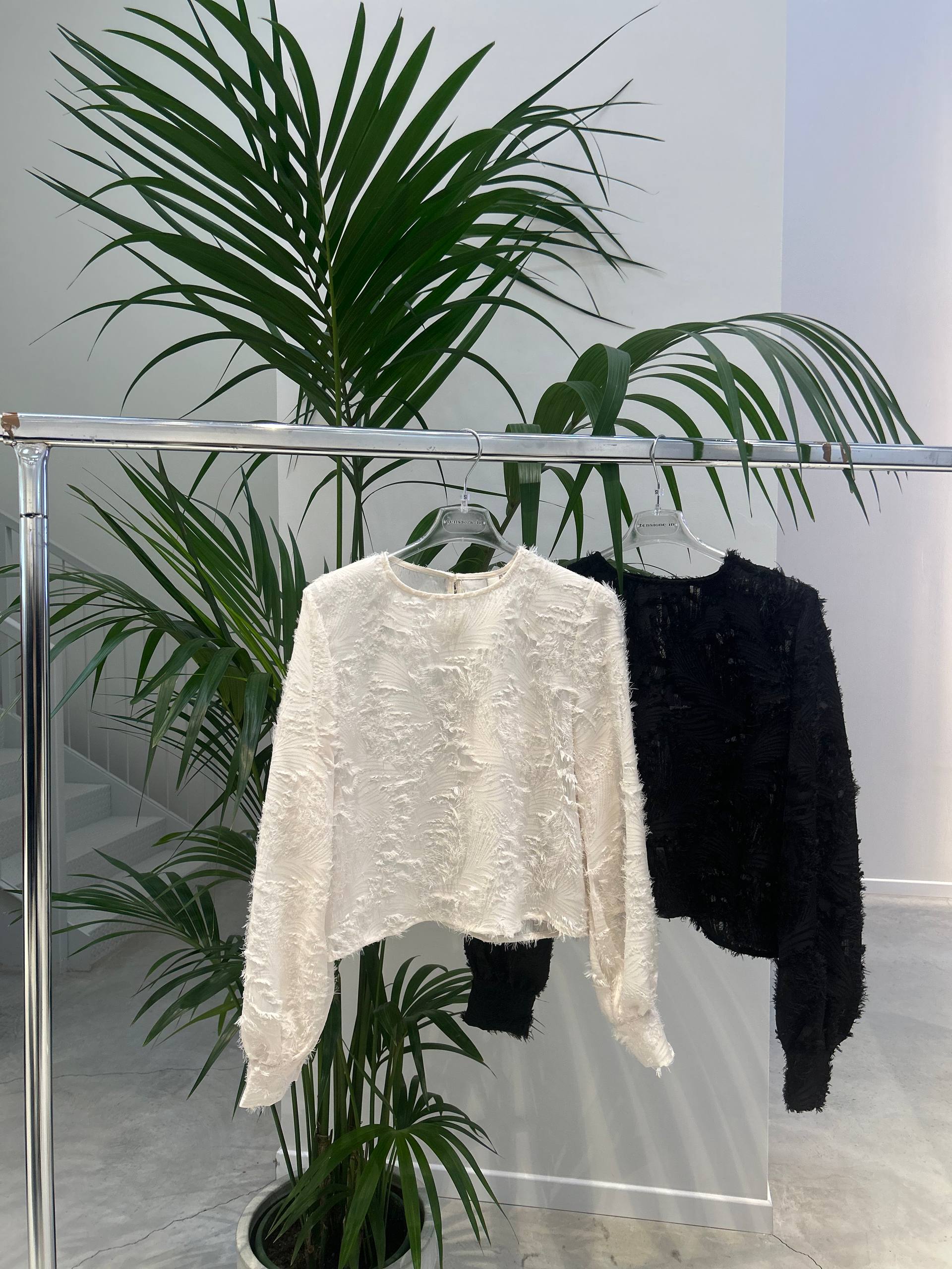 Фото Tensione in