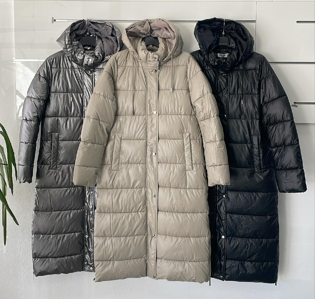 Фото Joie Clair (J-Clair)