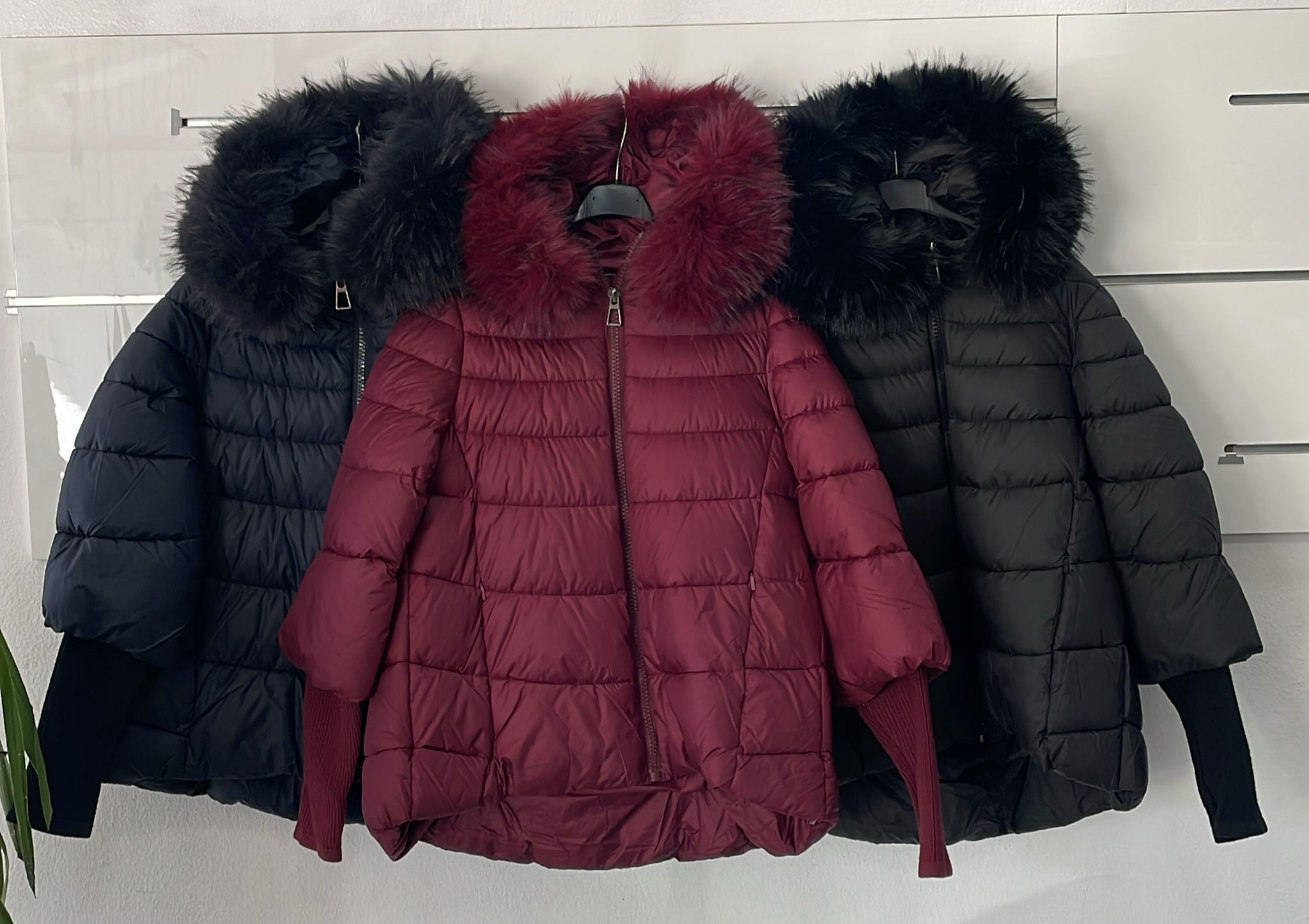 Фото Joie Clair (J-Clair)