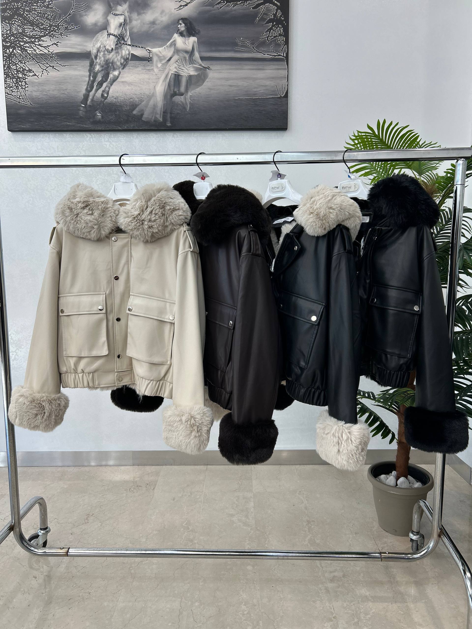 Фото Joie Clair (J-Clair)