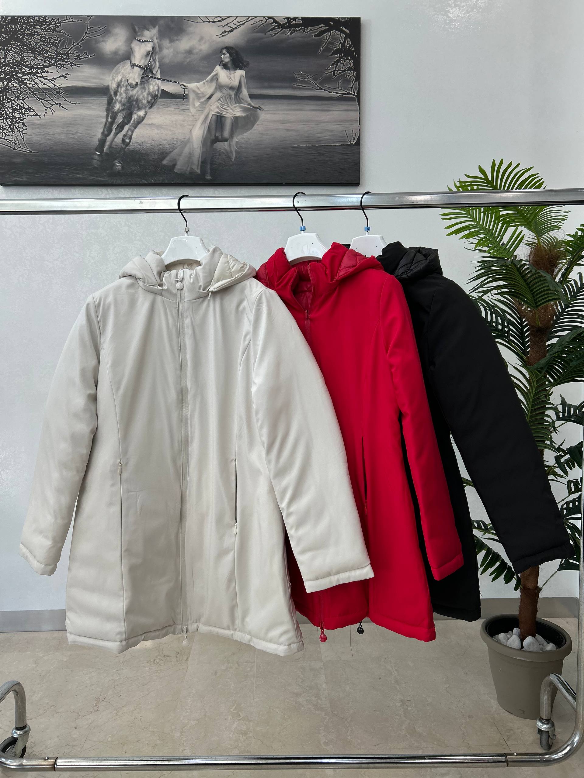 Фото Joie Clair (J-Clair)