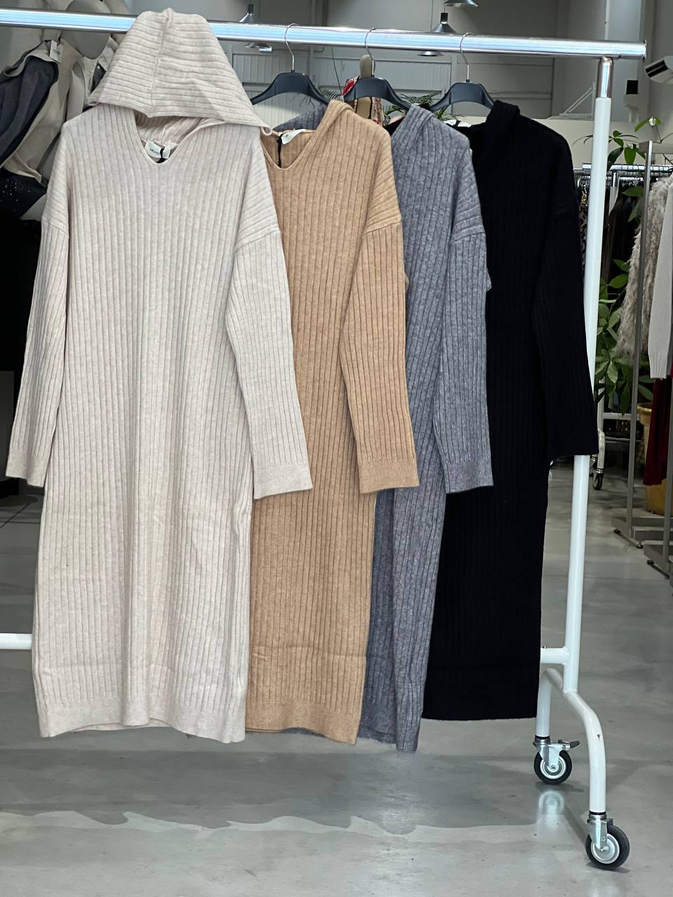 Фото Amelie Follies (Michelle)