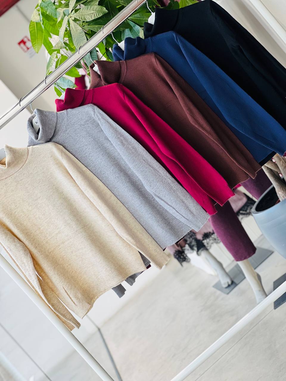 Amelie Follies (Michelle)