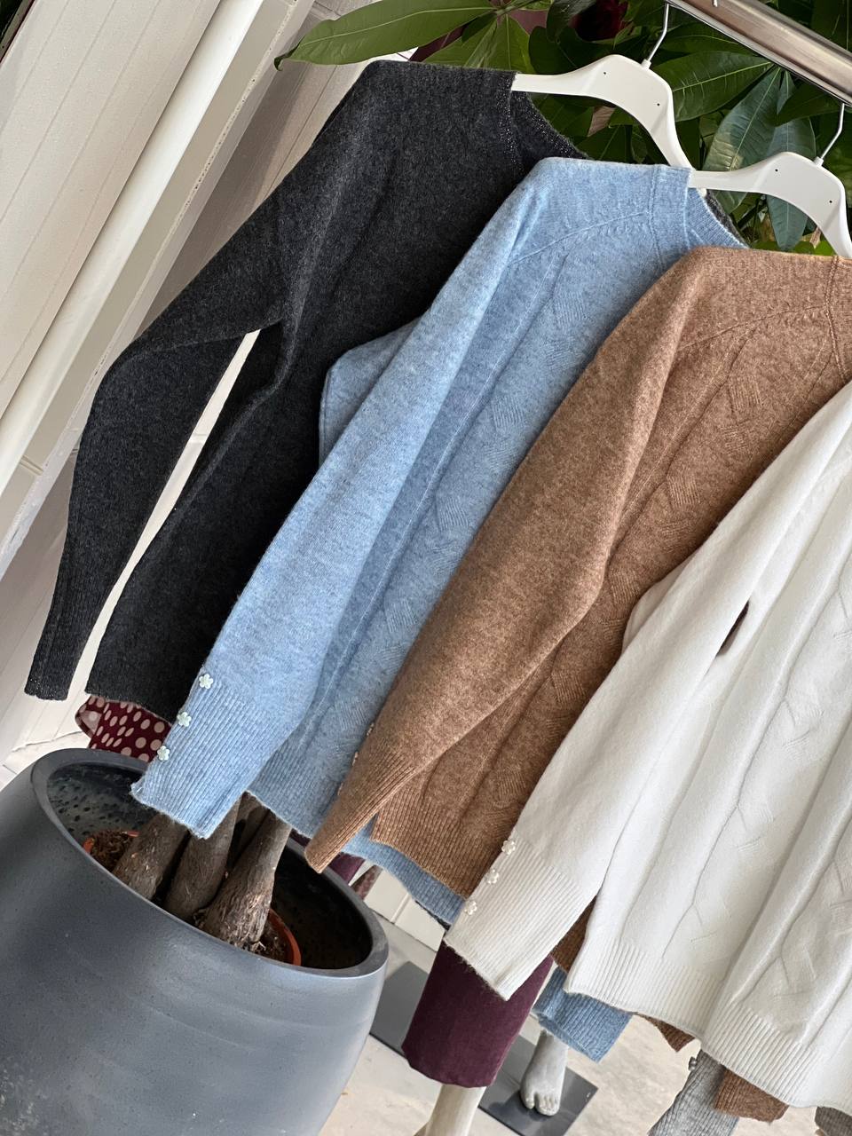 Amelie Follies (Michelle)