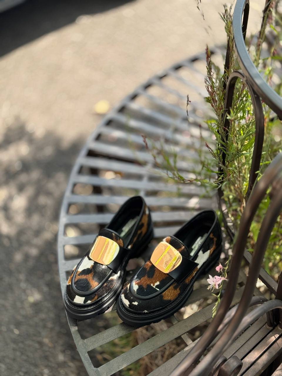 Фото Federica Lancioni