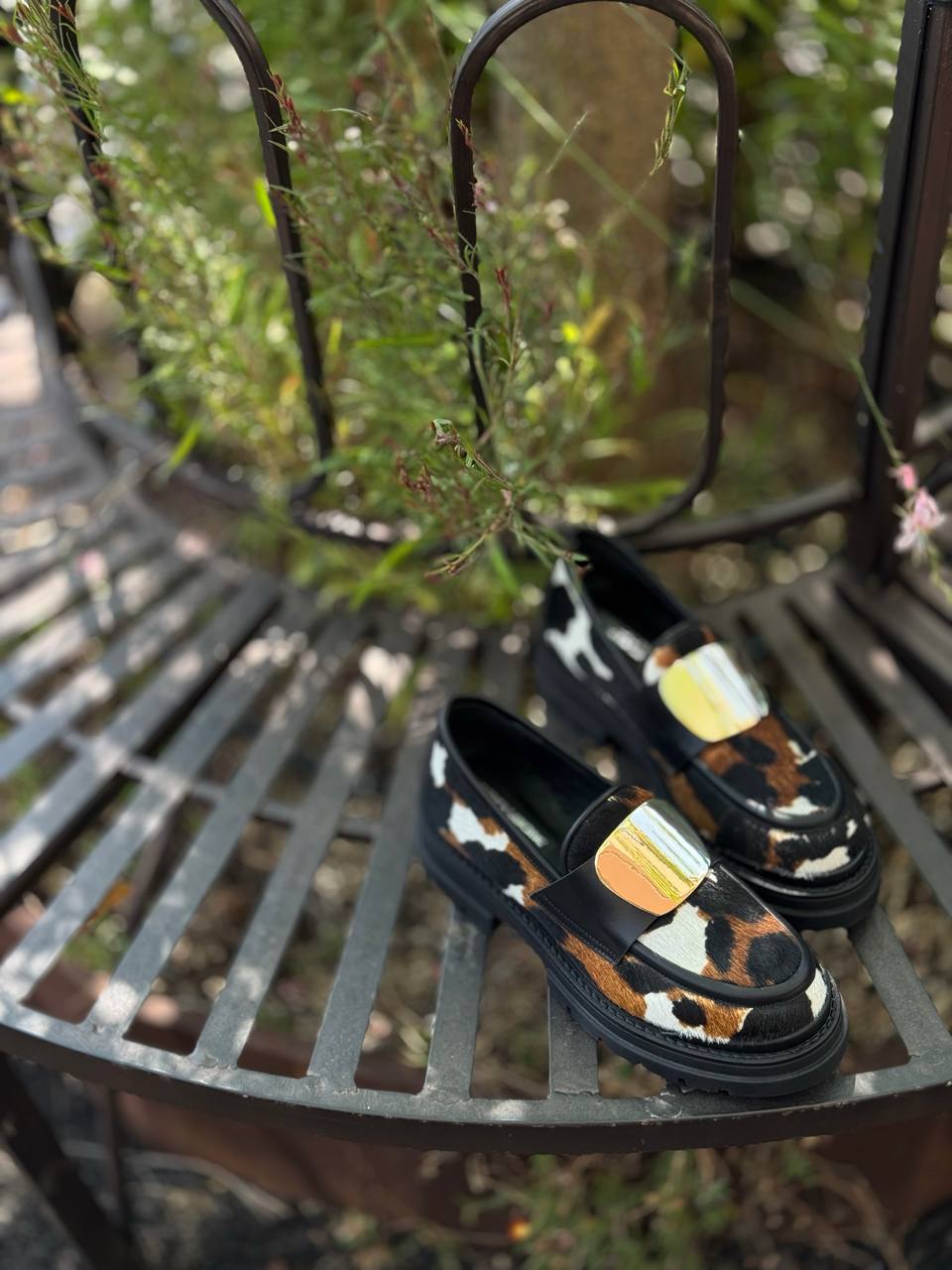 Фото Federica Lancioni