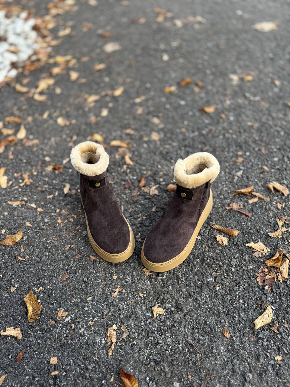 Фото Federica Lancioni