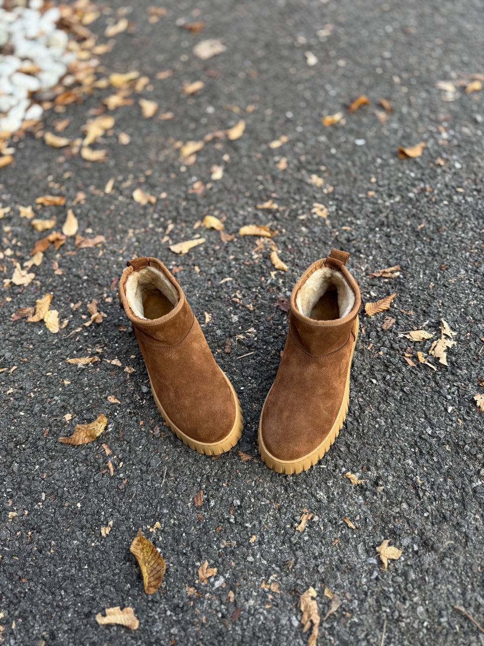 Фото Federica Lancioni