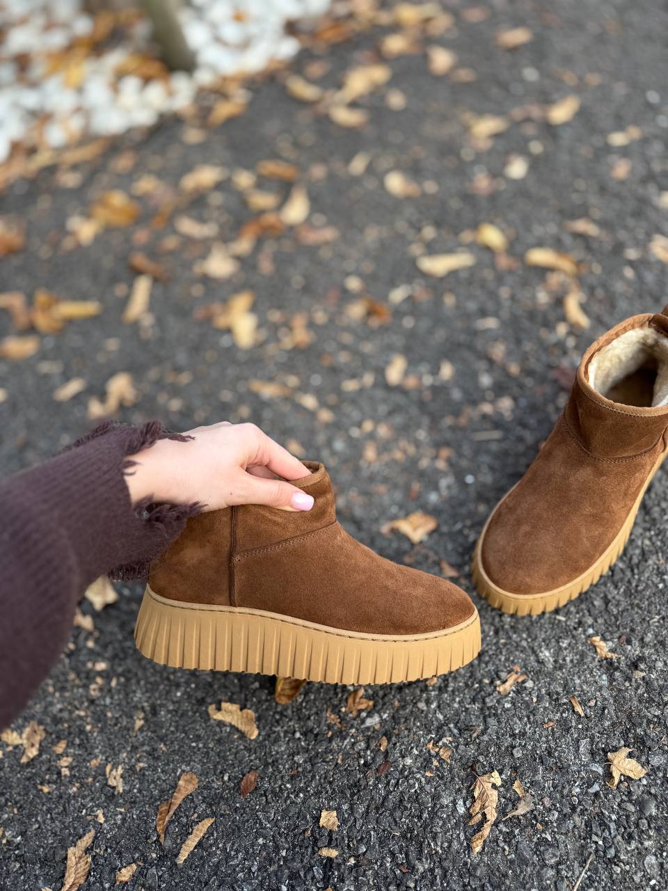 Фото Federica Lancioni