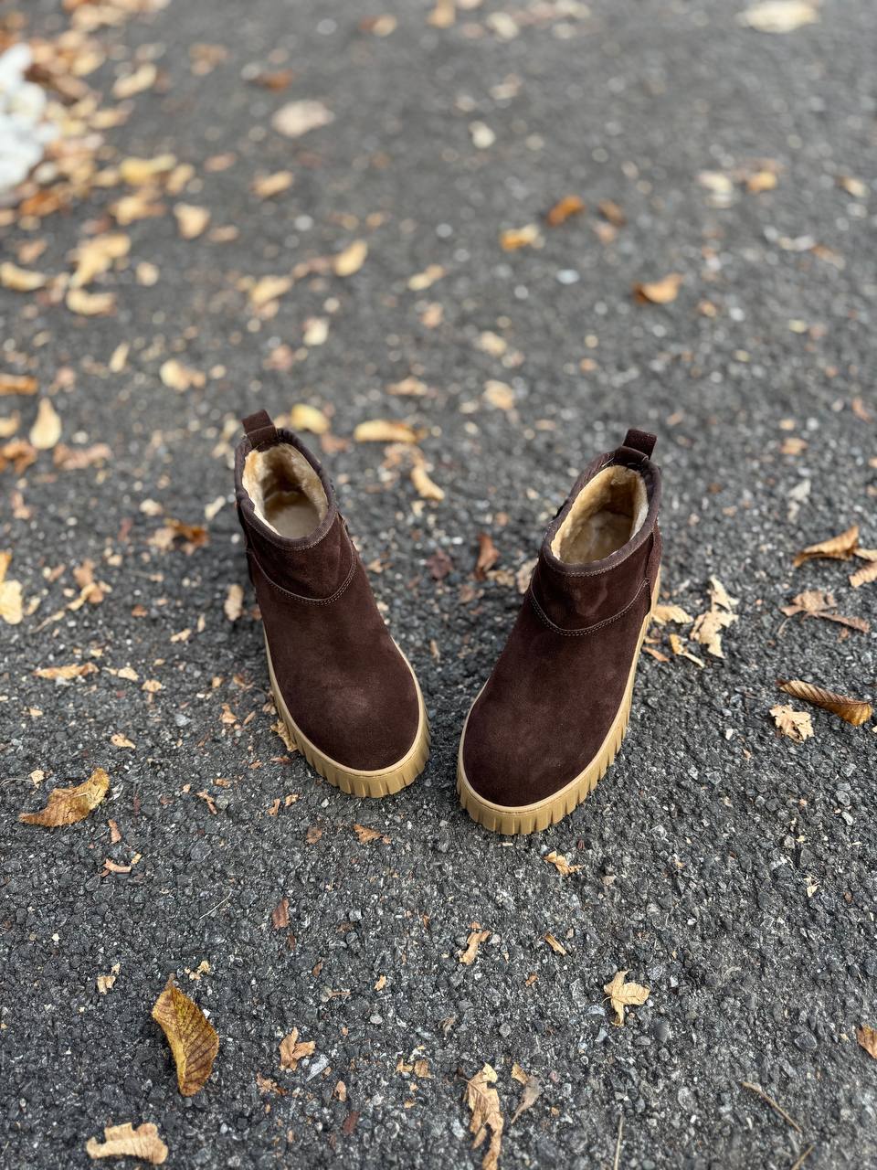 Фото Federica Lancioni