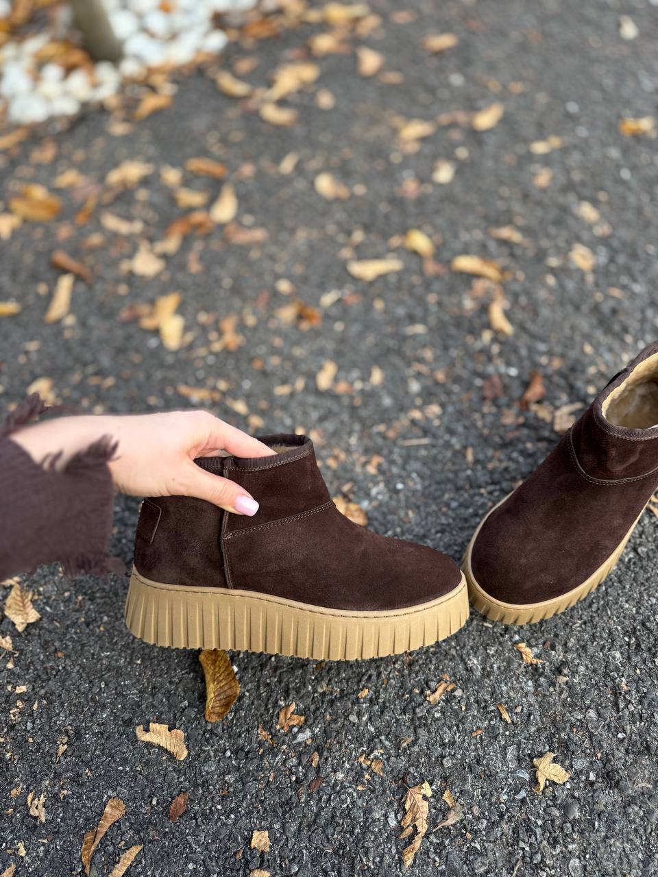 Фото Federica Lancioni