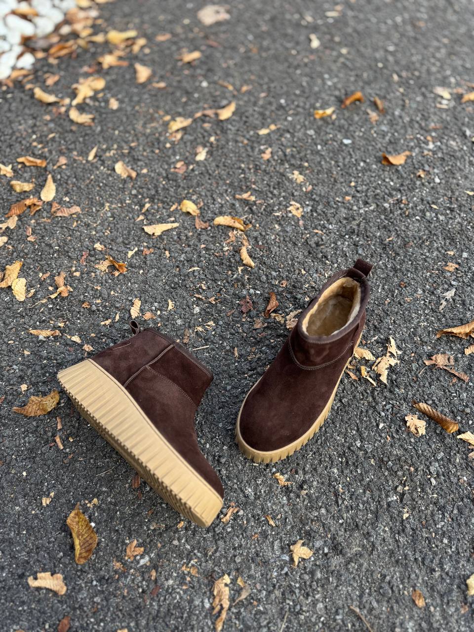 Фото Federica Lancioni