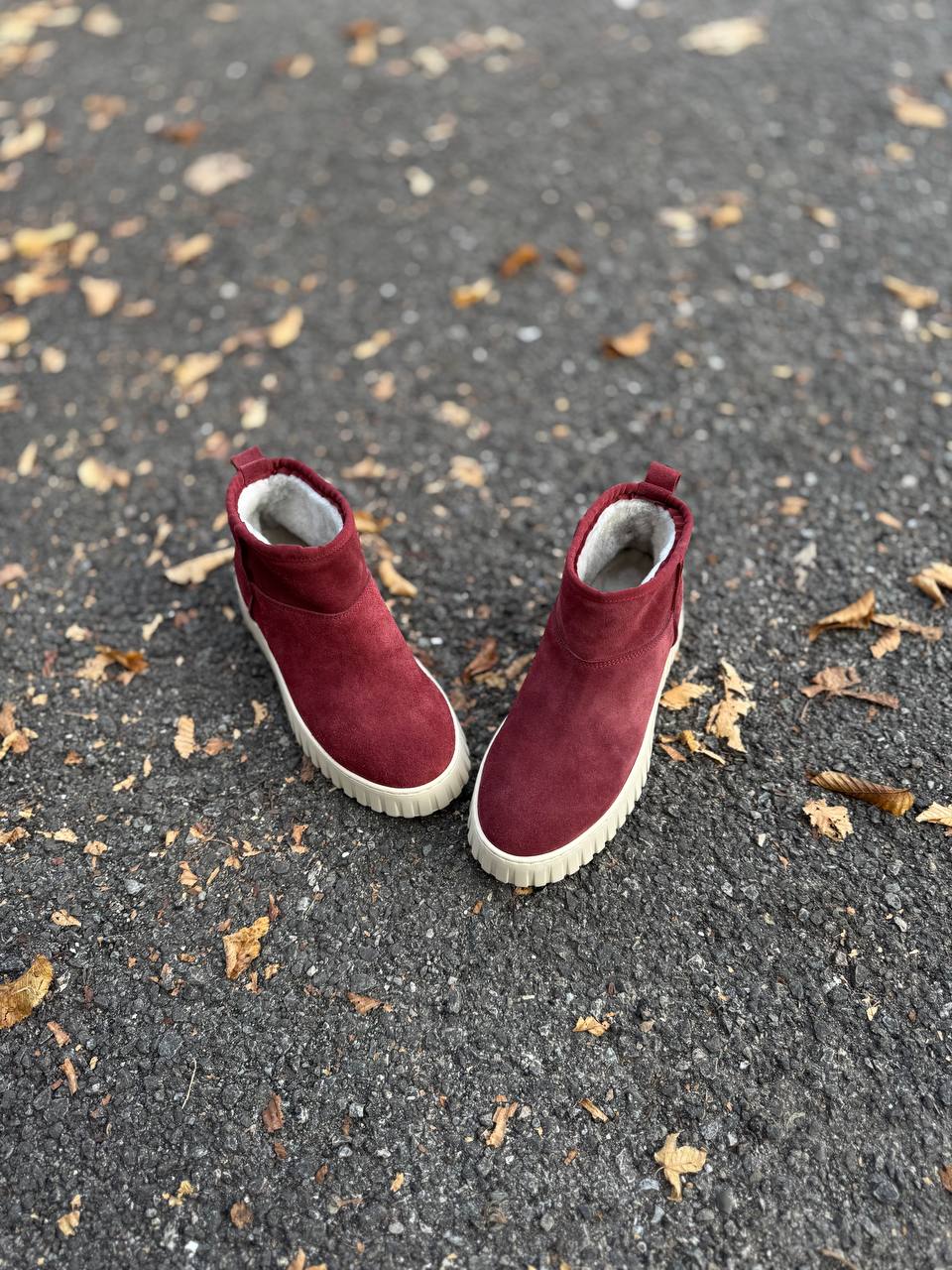 Фото Federica Lancioni