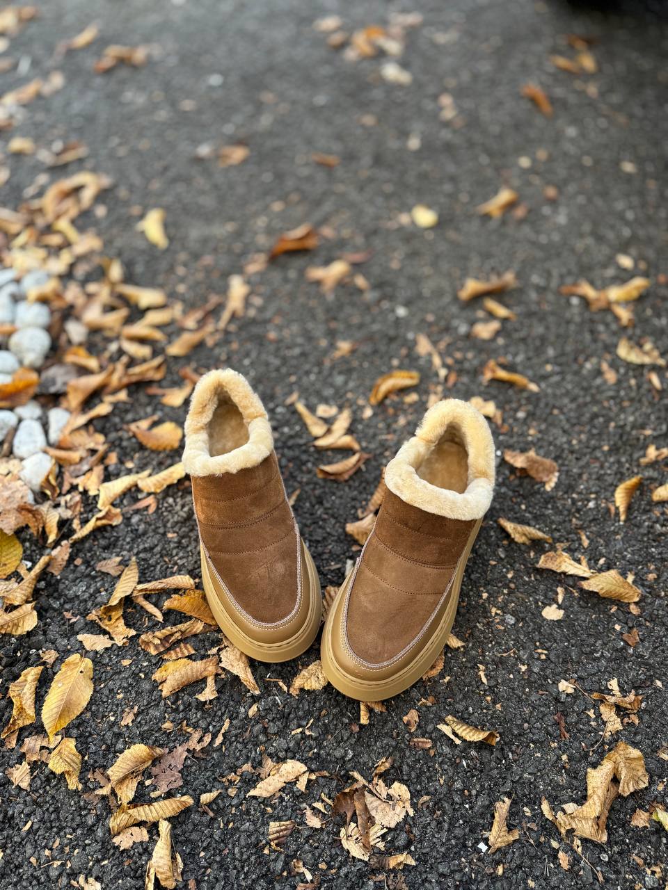 Фото Federica Lancioni