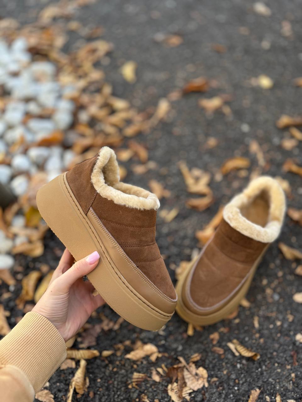 Фото Federica Lancioni