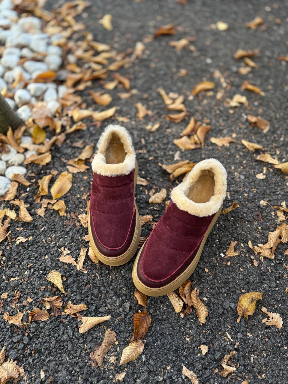 Фото Federica Lancioni