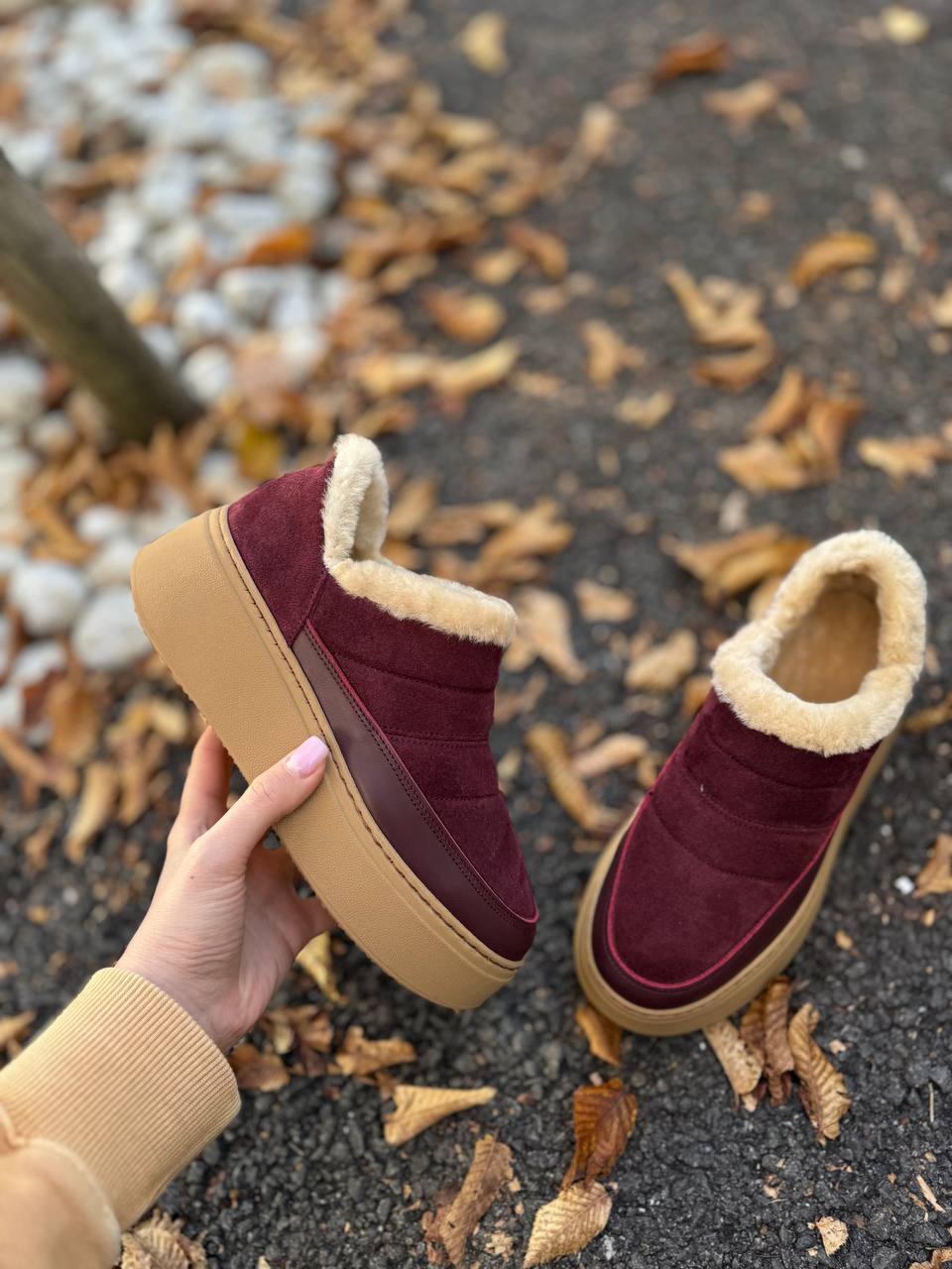 Фото Federica Lancioni